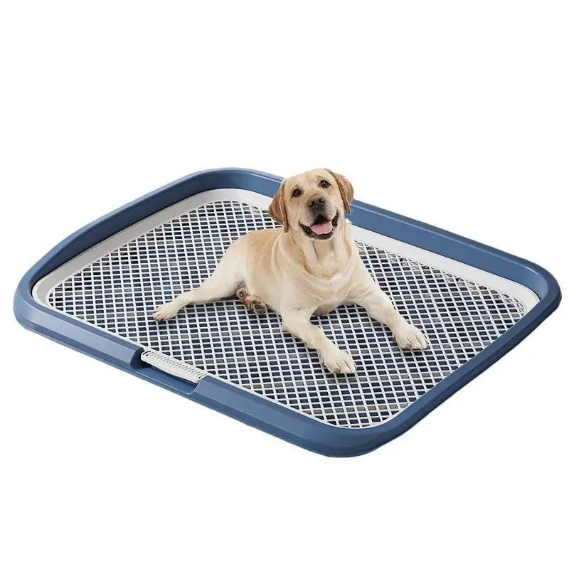 Dog Potty Training Toilet, Plastic Dog Pee - MyPetDollar.com
