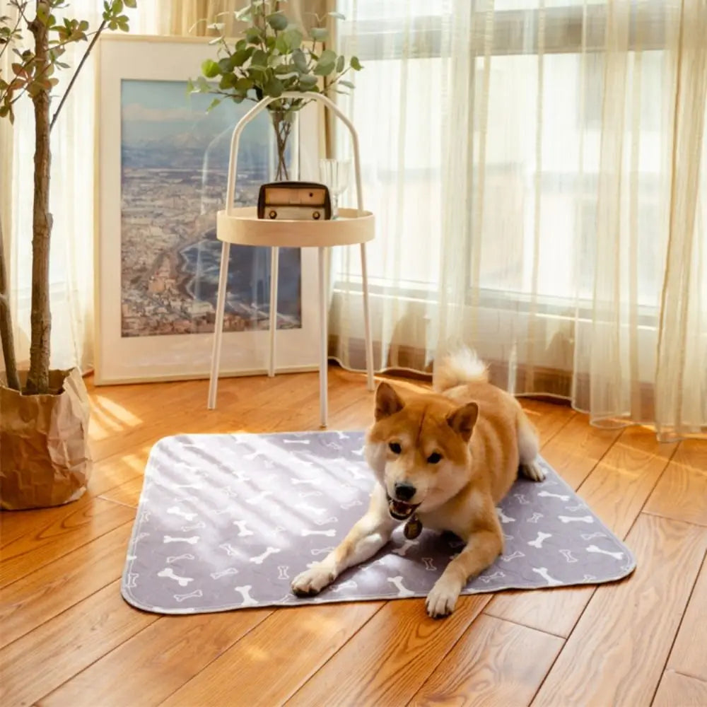 Durable Super Absorbent Pet Bed Mat Reusable - MyPetDollar.com