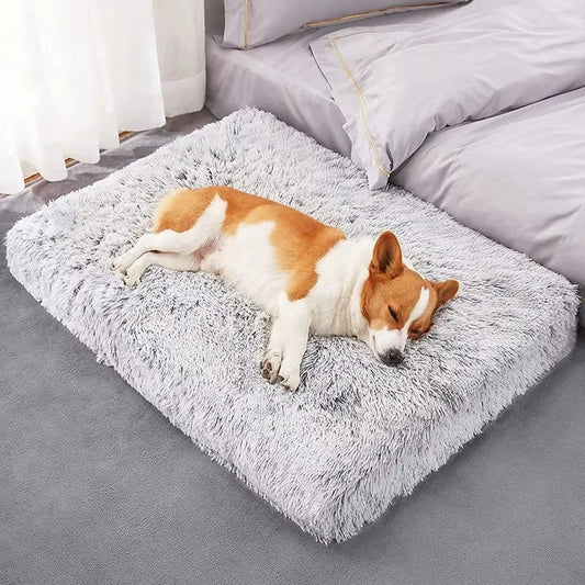 Plush Square Dog Mattress Removable Washable - MyPetDollar.com