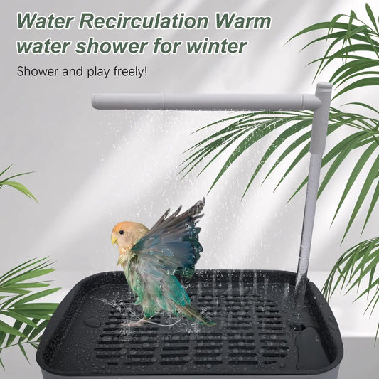 Parrot Shower Automatic Bird Bath Parrot - MyPetDollar.com
