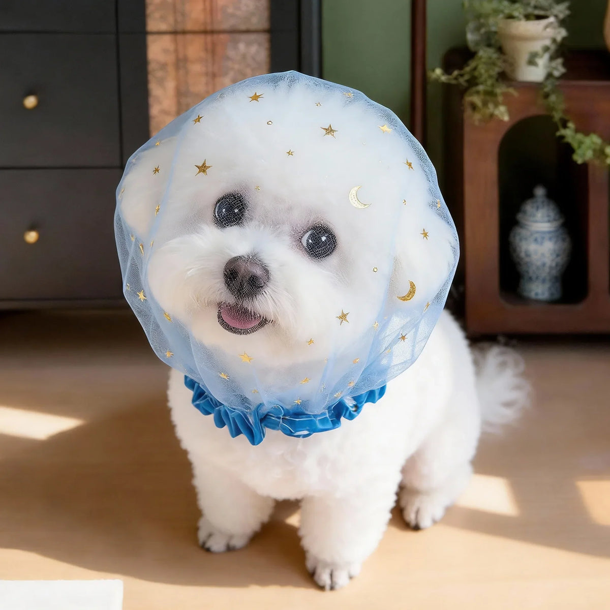 Pet Anti-accidental Ingestion Breathable Portable Outdoor Dog