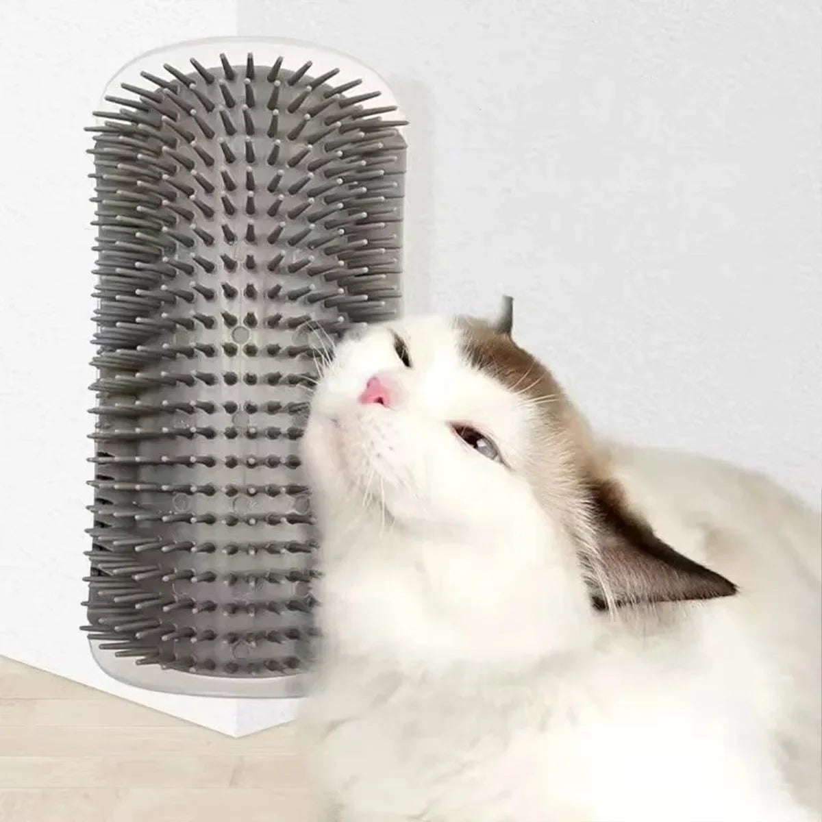 Pet Mair Remover Groomer Cat Toy with Catnip - MyPetDollar.com