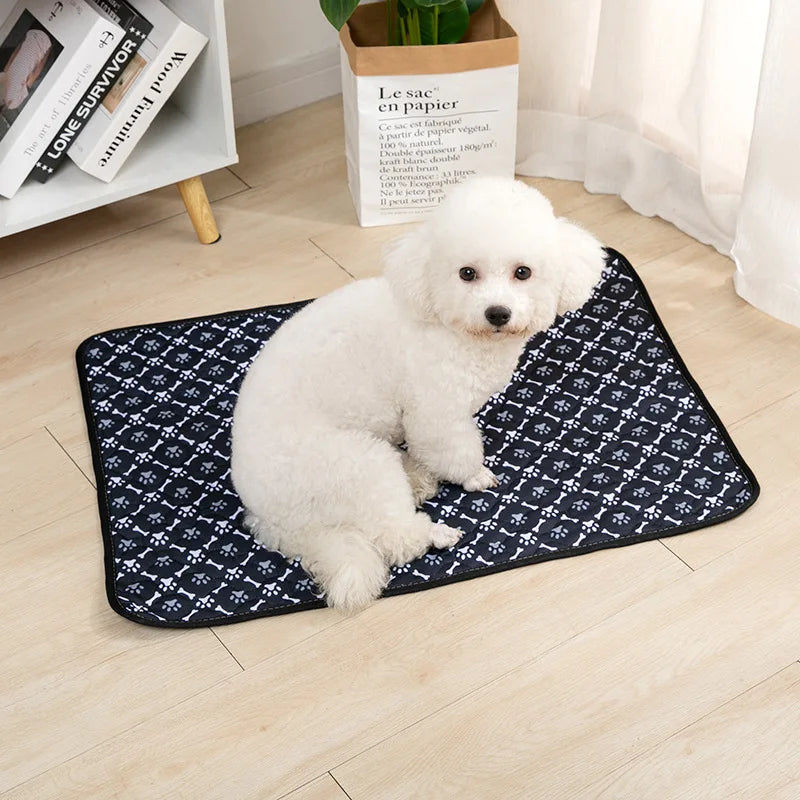 Dog Pee Pad Blanket Reusable Absorbent - MyPetDollar.com