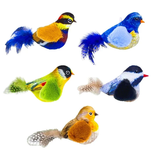Toy Indoor Interactive Birds Toy for Cat - MyPetDollar.com