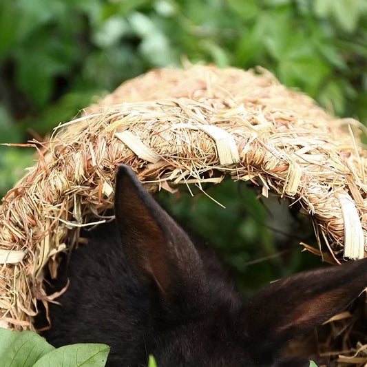 A74E-Grass House Tunnel Hutch Woven Hut For - MyPetDollar.com