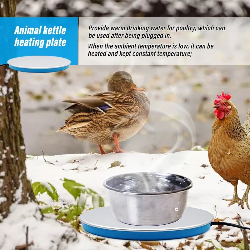 Poultry Pet Animals Chicken Drinking Heating - MyPetDollar.com