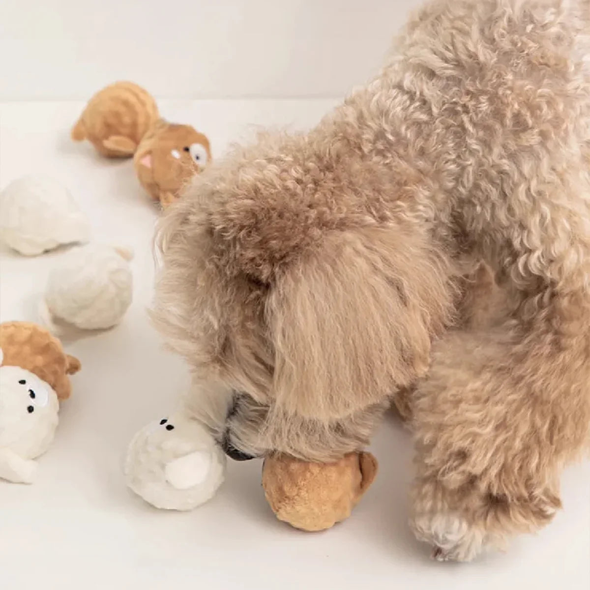 Squeaky Puppy Ball Toy - Spiked Bouncing - MyPetDollar.com
