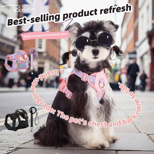 Dog Harness and Leash Set Breathable Mesh - MyPetDollar.com