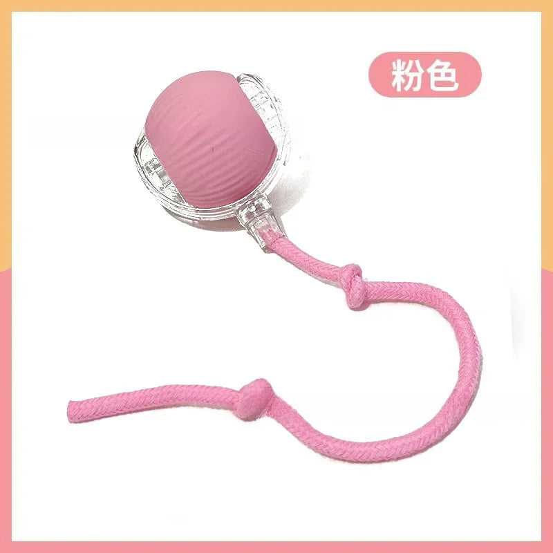 Cat Toy Ball Interactive with String Durable Bite Resistant – Cat Supplies