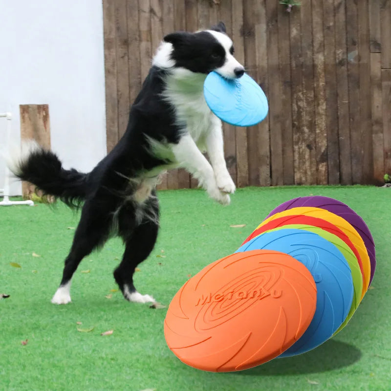 Dog Flying Disc Toy Rubber Pet Bite - MyPetDollar.com