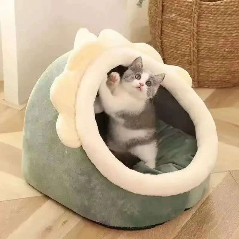 Pet Tent Cave Bed for Cats Small Dogs - MyPetDollar.com