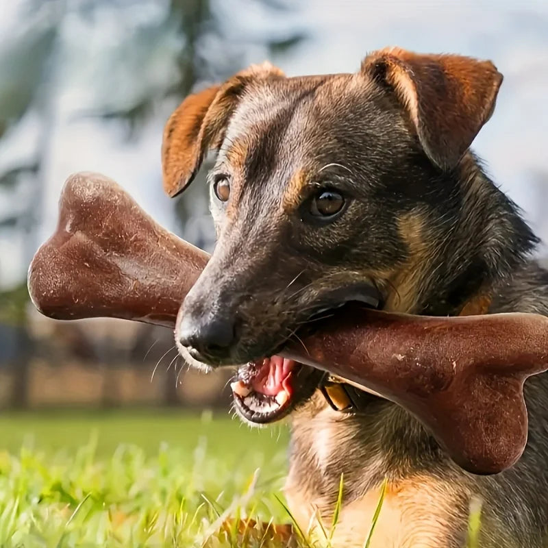 Dog Durable Beef Flavored Chew Toy, Bone - MyPetDollar.com