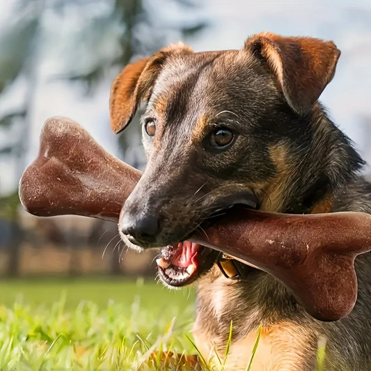 Dog Durable Beef Flavored Chew Toy, Bone - MyPetDollar.com