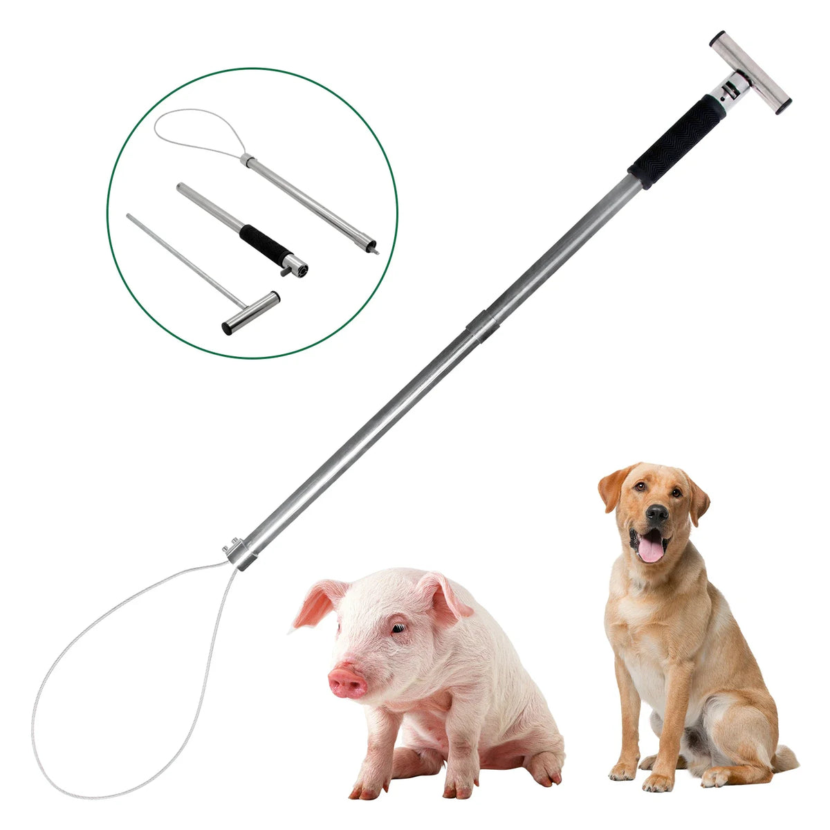 30Inch Stainless Steel Animals Pig Catcher - MyPetDollar.com