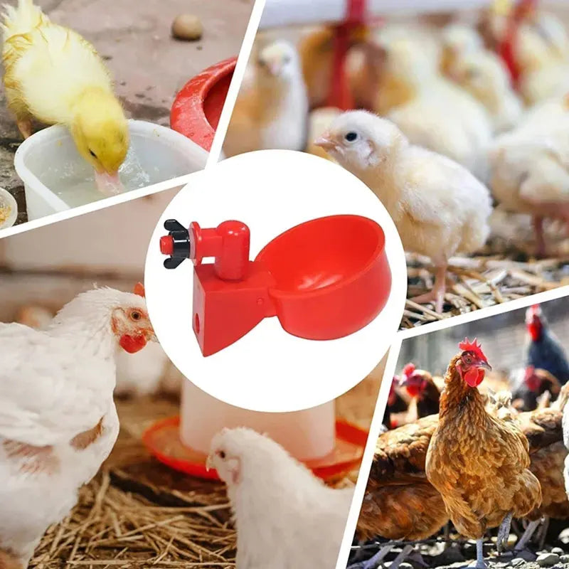 5-50Pcs Chicken Duck Drinking Cup Automatic - MyPetDollar.com