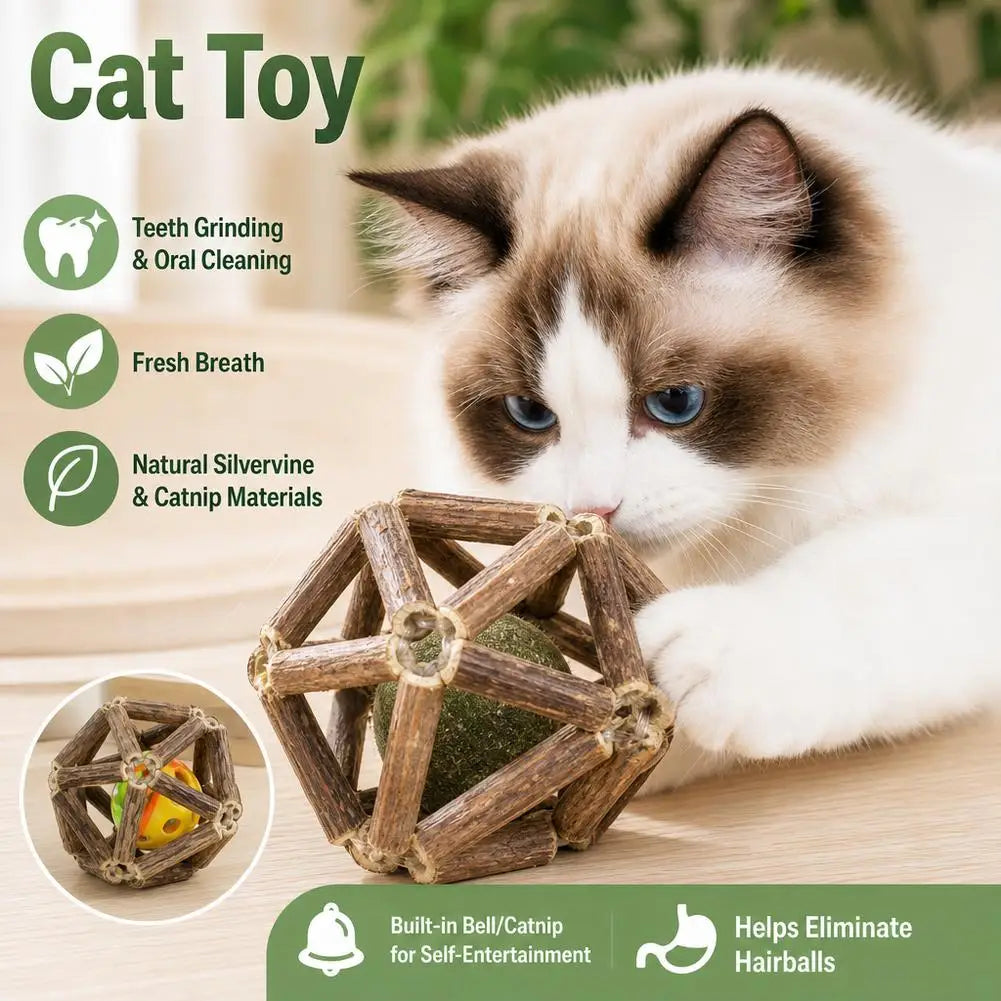 Catnip Silvervine Cat Toys Plaque Tartar - MyPetDollar.com