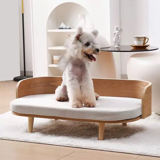Regularly Support Modern Pet Bed Modern - MyPetDollar.com