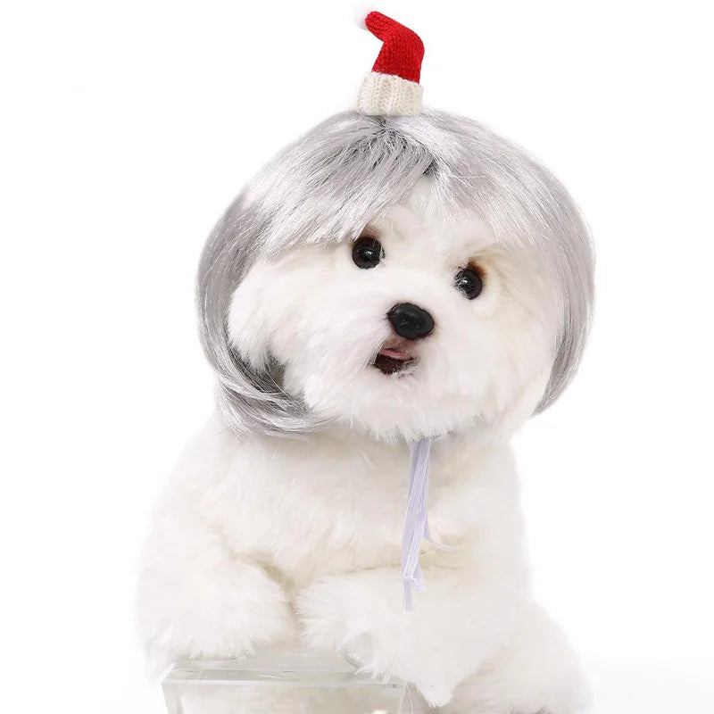 Pet Wig Dog And Cat Spoof Wig Pet Supplies - MyPetDollar.com