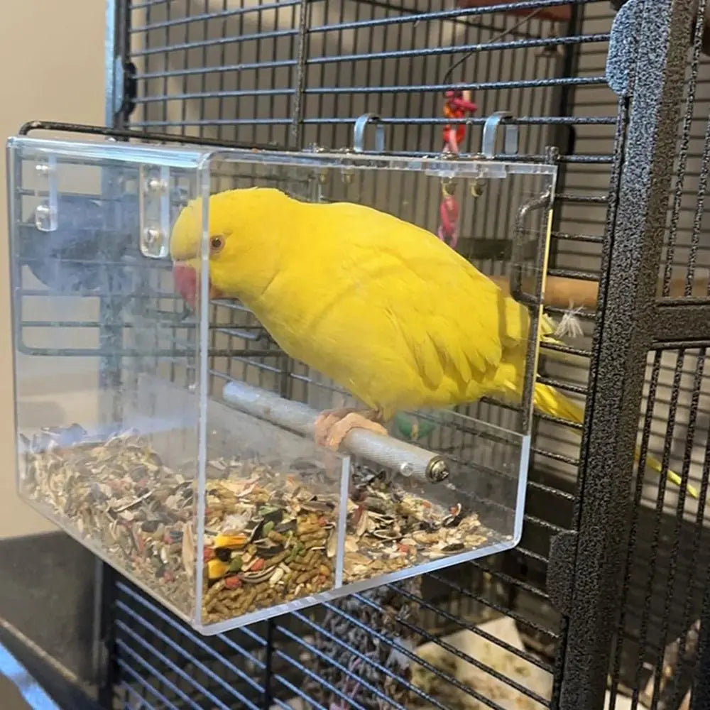 Practical Transparent Bird Automatic Feeder - MyPetDollar.com