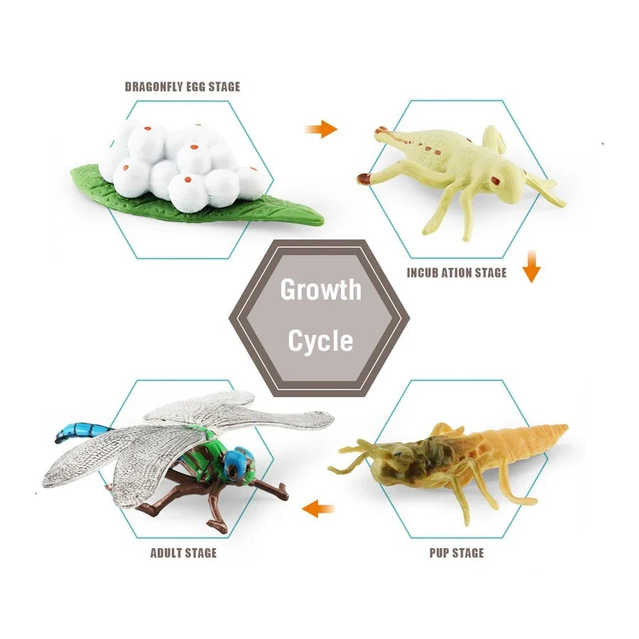 Realistic Insect Grasshopper Mosquito Cicad - MyPetDollar.com