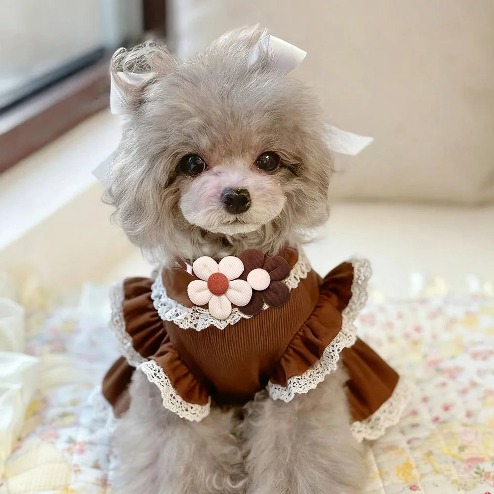 5/10PCS Dog Collars 2025New Brown Style - MyPetDollar.com
