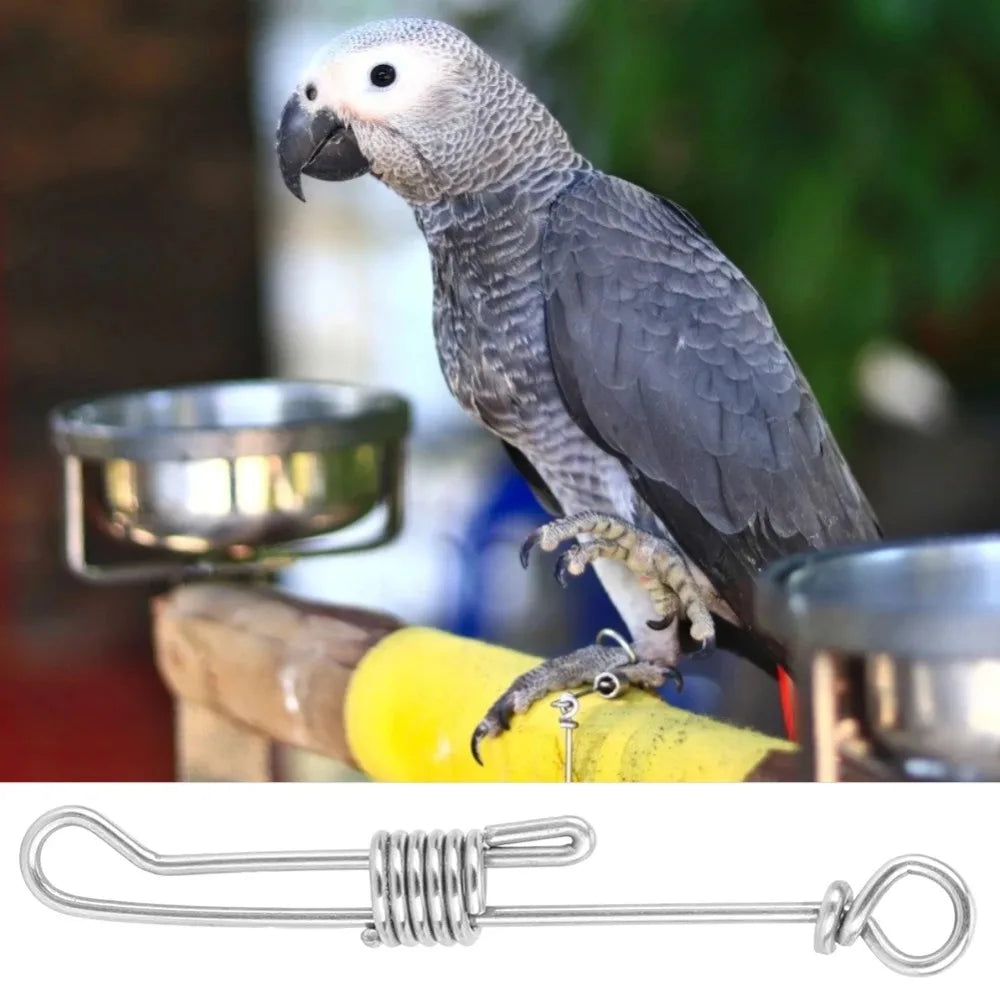 Flying Training Parrot Foot Chain New - MyPetDollar.com
