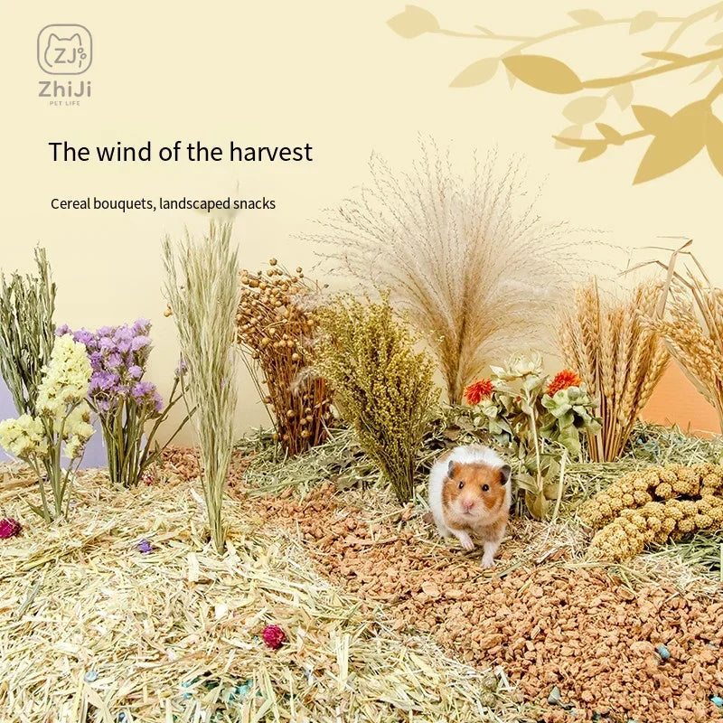 Natural Dried Flower Hamster Bedding - MyPetDollar.com