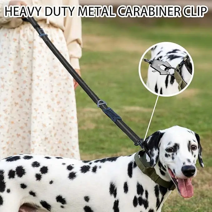 Reflective Shock Absorbing Pet Dog Leash - MyPetDollar.com