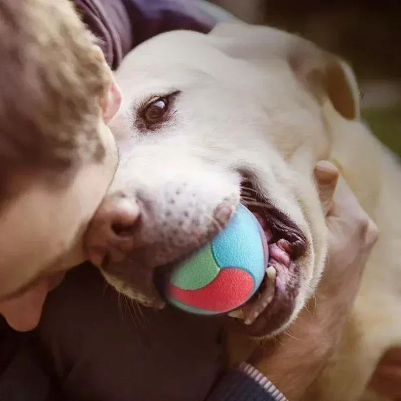 Solid Rubber Dog Balls for Dogs Virtually - MyPetDollar.com