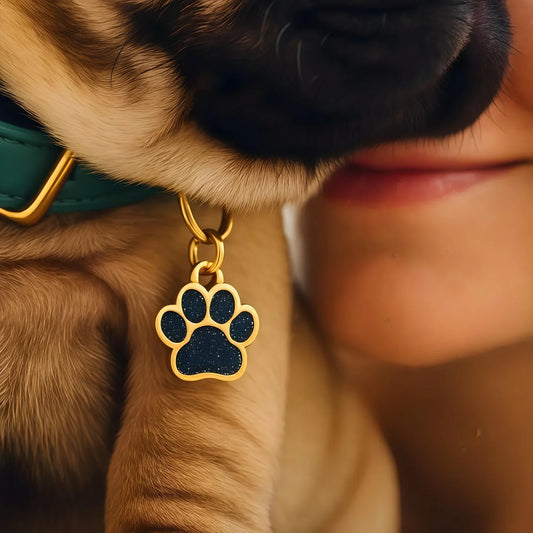 Personalized Glitter Gold Paw Print Pet ID - MyPetDollar.com