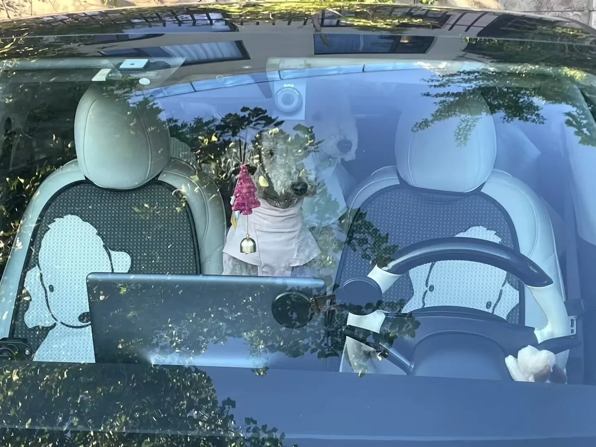 Original Design Pet Car Cushion Breathable - MyPetDollar.com