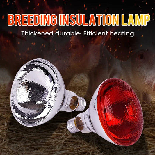 220V Heating Light Bulb Poultry Reptile - MyPetDollar.com