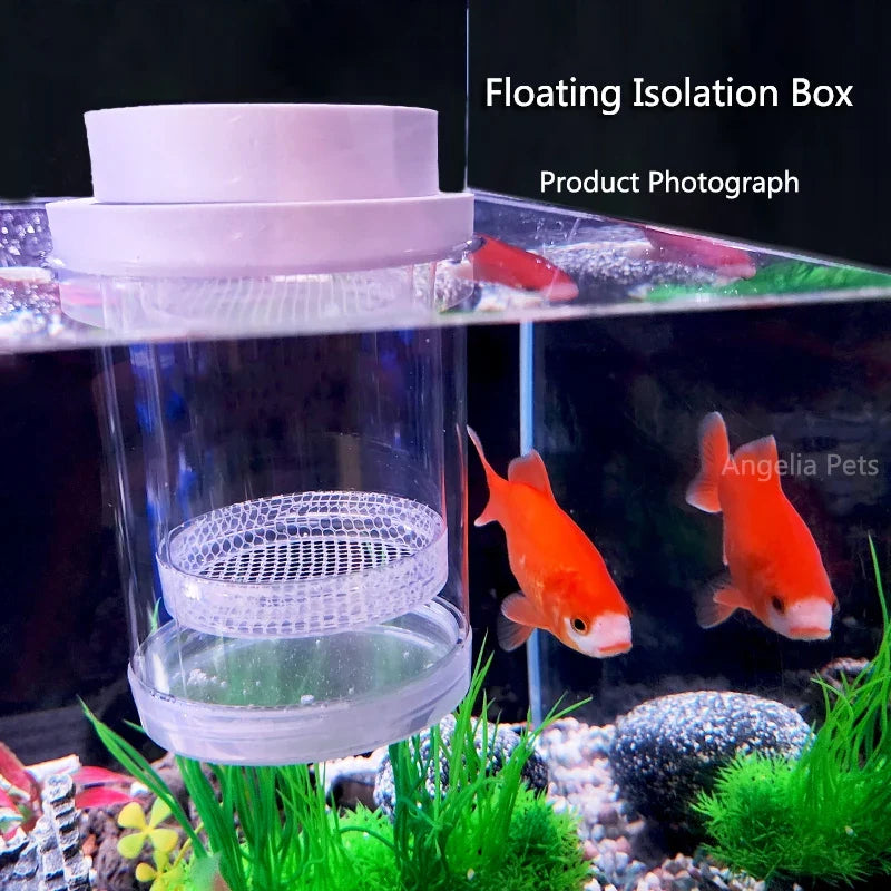 Plastic Floating Fish Breeding Isolation Box - MyPetDollar.com