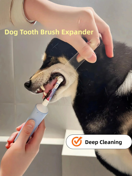 Dog Teeth Cleaning Aid Oral Care Pet Mouth - MyPetDollar.com