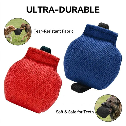 Small and Medium-Sized Dog Interactive - MyPetDollar.com