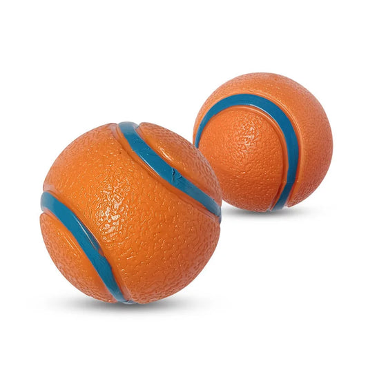 Durable Squeaky Dog Toy Bouncing Ball for - MyPetDollar.com