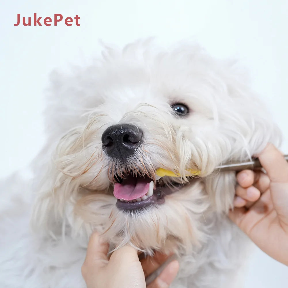Pet Toothbrush Dog Plastic Toothbrush - MyPetDollar.com