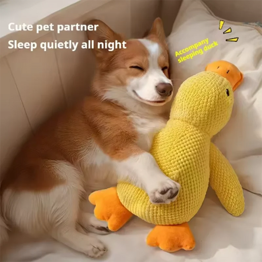 Cute dog Toy Stomping Duck Bite Resistant - MyPetDollar.com