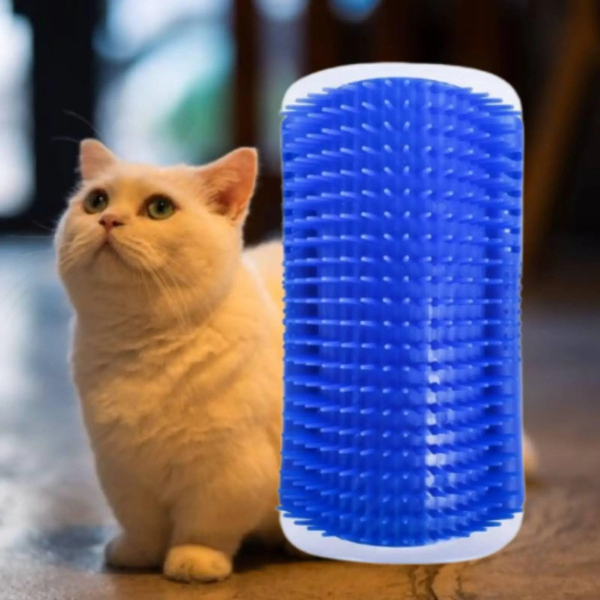 Cat Grooming Brush for Cats Corner Scratcher - MyPetDollar.com