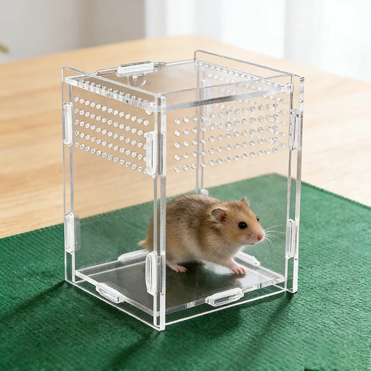 1PC High-Quality Modular Acrylic Arboreal - MyPetDollar.com