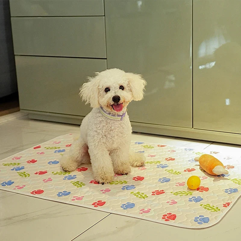 Anti-Slip Absorbent Pet Pee Pad - Cute - MyPetDollar.com