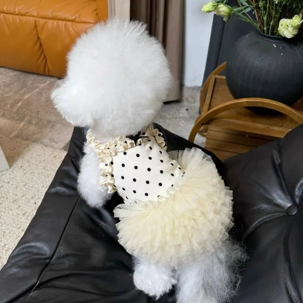 Cute Breathable Puppy Slip Dress Lace Hem - MyPetDollar.com