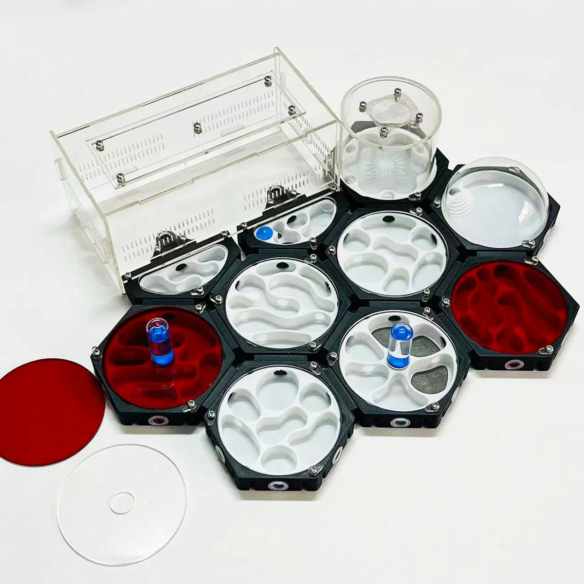 Moisturizing Idea Reptile Terrarium Ants Farm Home