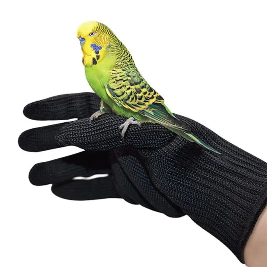 Bird Gloves Anti-Bite Parrot Training - MyPetDollar.com