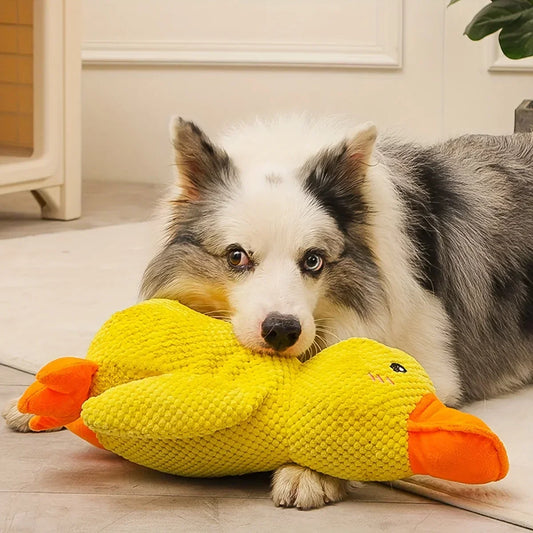 1pc Large Duck Design Pet Grinding Teeth - MyPetDollar.com