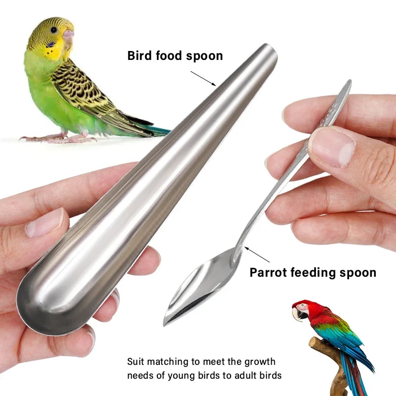 Bird Feeding Spoon Pet Bird Parrot Bird Cage - MyPetDollar.com
