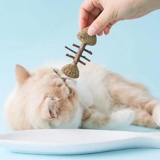 Catnip Toy Creative Fish Mouse Chew Bite - MyPetDollar.com