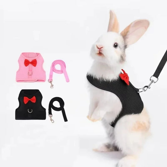 Adjustable Bunny Harness And Leash Set Soft - MyPetDollar.com