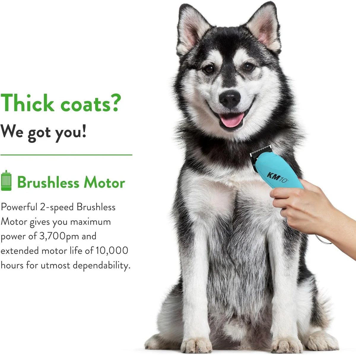 4F,5F,7FC,10#,30#,40# Professional Pet Dog - MyPetDollar.com