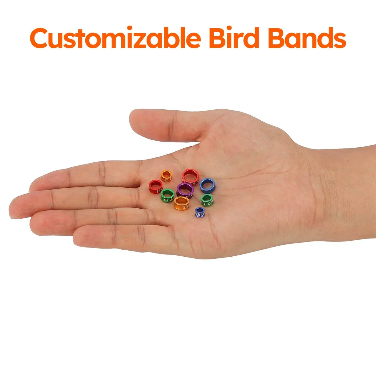 10pcs Customized Bird Rings, Durable Random - MyPetDollar.com